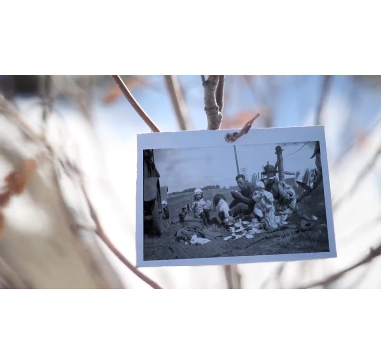 Op_maat_gemaakte_video_presentatie_op_muziek_met_aangeleverde_fotos_muziek_4 GE166003