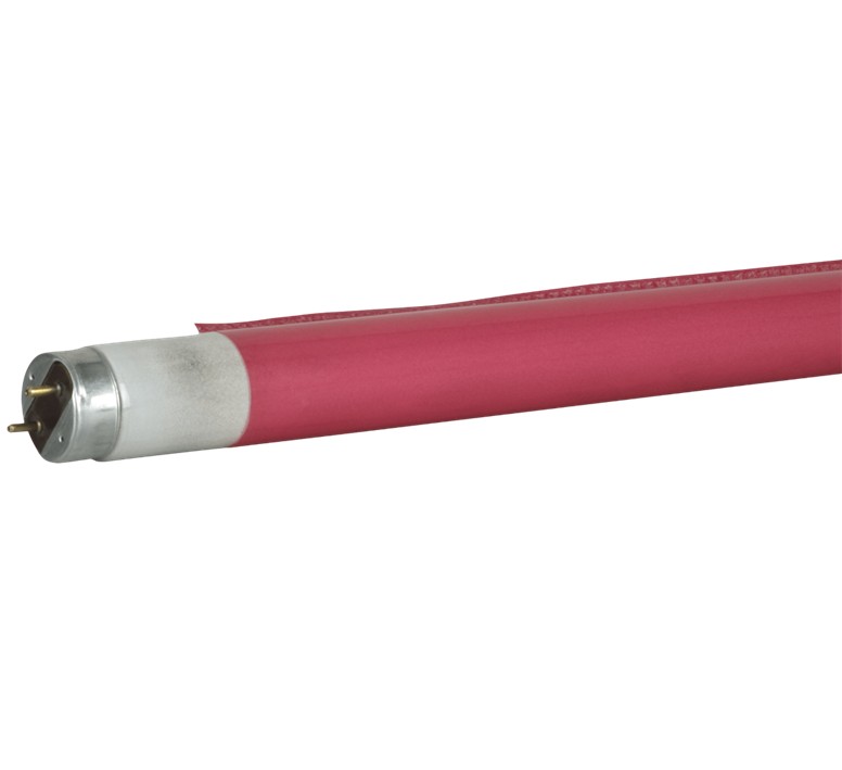 C-tube 036C Medium Pink T8 1200mm Colour fast filter OP=OP DE LAATSTE
